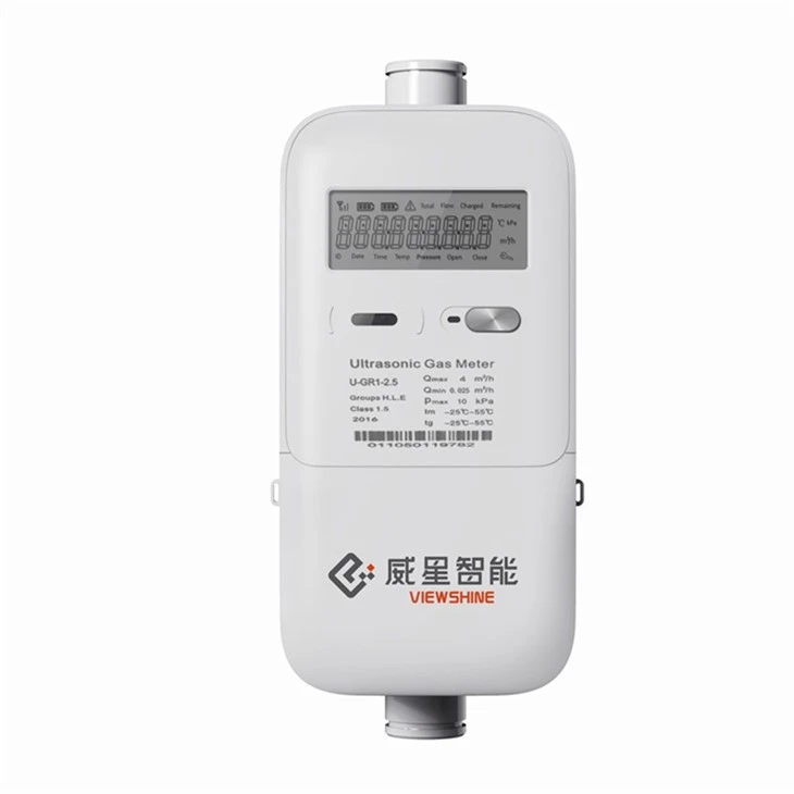 Multi Gas Meter